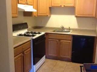 Kitchen area - 332 Copeland St