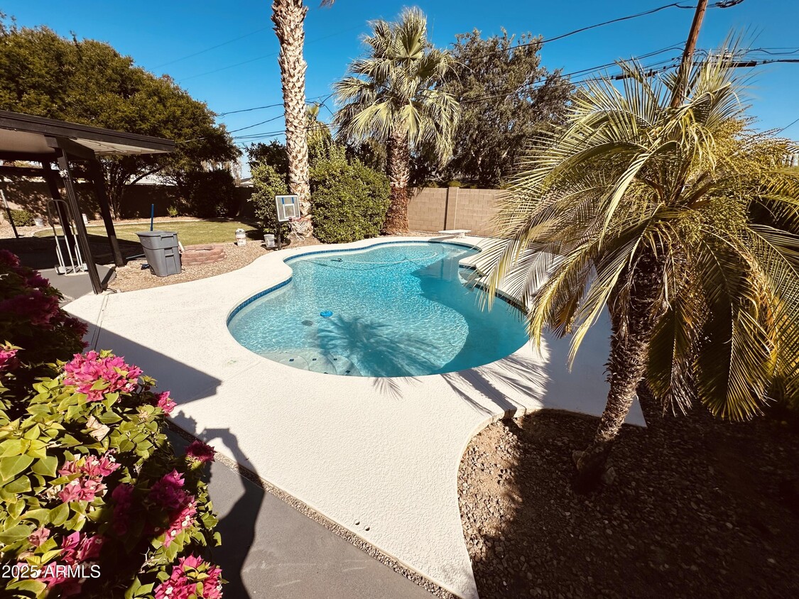 Primary Photo - 3109 E Cholla St