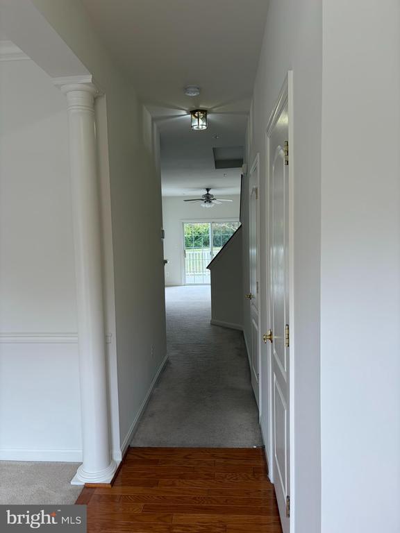 Building Photo - 1519 Sunswept Dr