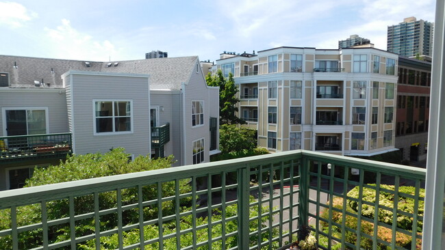 Court Yard - 1630 S Harbor Way