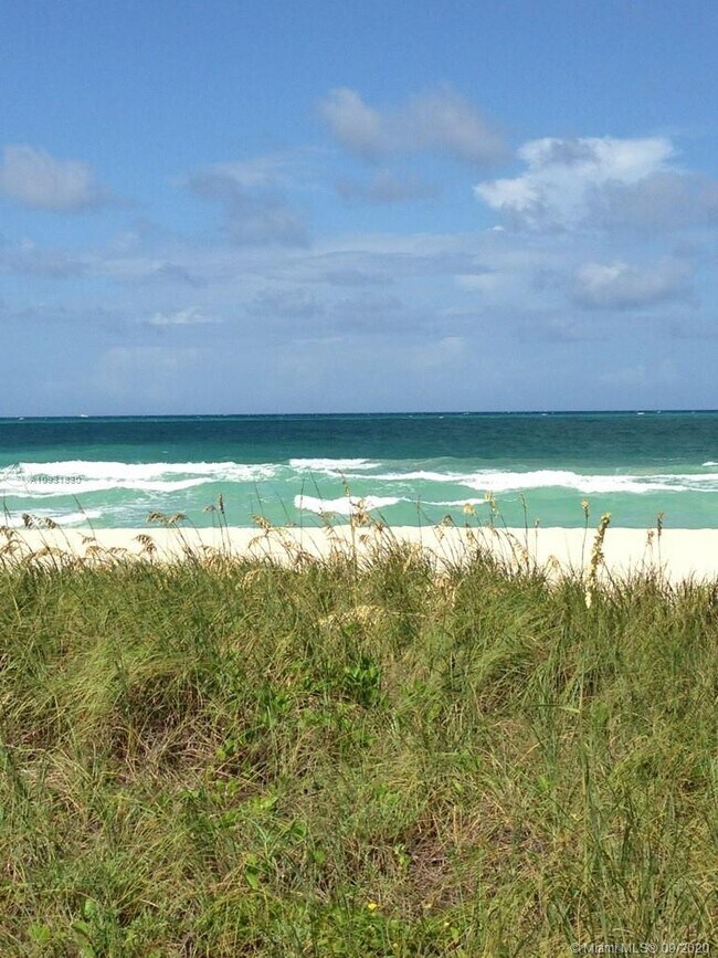 Foto del edificio - 9341 Collins Ave