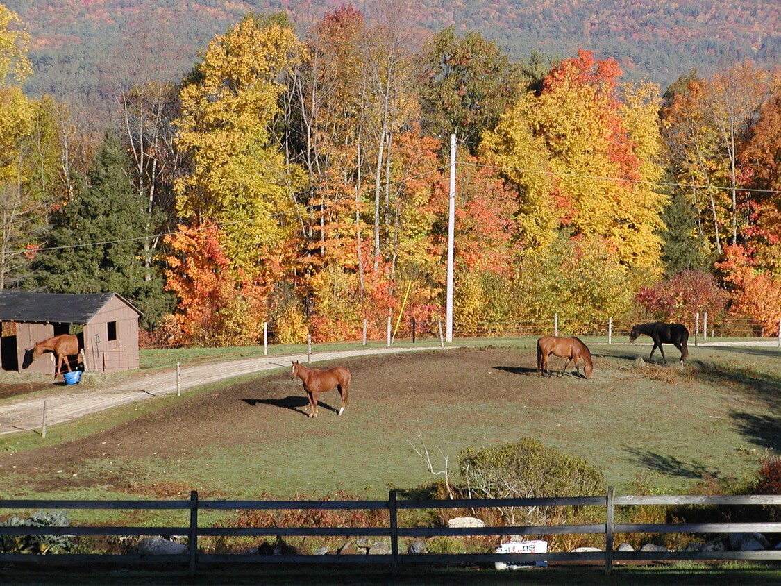 51 Bixby St, Marlborough, NH 03455 House Rental in Marlborough, NH