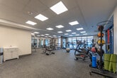 Located at 375 South Street in London, Ontario, this modern fitness center offers a spacious and thoughtfully designed workout environment on a single floor. The facility is defined by its clean, contemporary aesthetic, featuring a drop-panel ceiling with recessed LED lighting panels that provide consistent, bright illumination throughout the space. Durable rubber-composite flooring spans the entire area, offering both safety and comfort underfoot. Large floor-to-ceiling windows line multiple walls, inviting abundant natural light and providing views to the outdoors, enhancing the open and energizing atmosphere. Full-length mirrors are strategically positioned along one wall, visually expanding the space and supporting proper form during exercise. The facility is comprehensively equipped for both cardio and strength training. The cardio zone features multiple treadmills, elliptical trainers, and upright stationary bikes, while the strength area includes a multi-station cable machine, a barbell rack with weight plates, a full dumbbell rack ranging across various weights, adjustable benches, and stability balls and medicine balls for functional training. A separate, more intimate zone near the glass-door entrance offers additional free weight benches and storage. Access to an adjacent lounge or common area is visible through the glass doors, adding to the facility's connectivity and convenience.