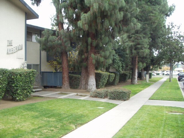 THE AMBERADA APTS. - SIDE VIEW - 4220 N First St
