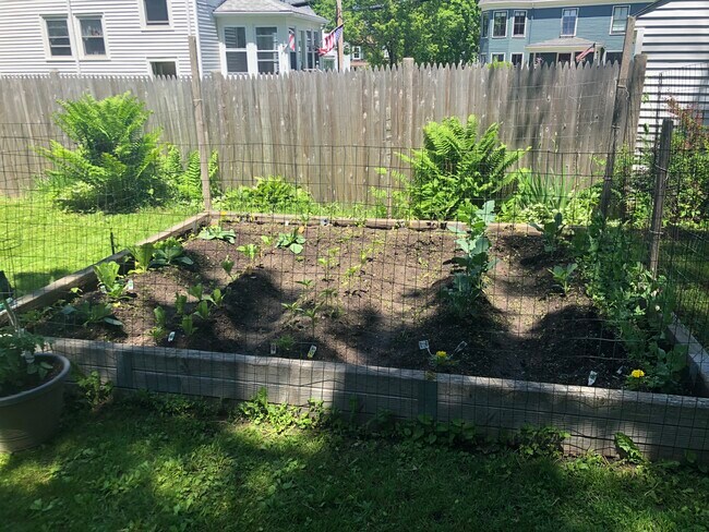 Raised garden bed - 267 Allen Ave