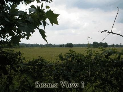 Building Photo - 2 bedroom in Mcminnville TN 37110