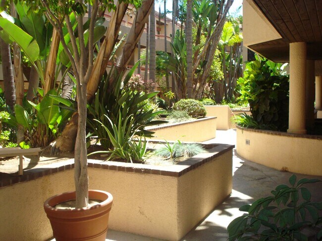 Foto del edificio - HARBOR MANOR CONDOS! ACROSS FROM HARBOR UCLA MED CTR IMMACULATE  2 bdrm 2 ba. CONDO FOR LEASE!