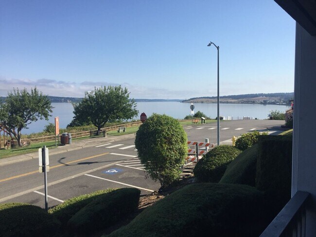 Foto del edificio - Steilacoom 1 bedroom with a view of  the