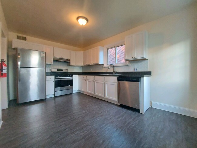 Newly renovated kitchen featuring stainless steel appliances. - 1717 Springfield Ave