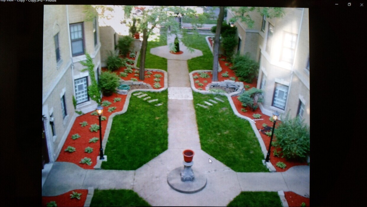 Primary Photo - 7379 N Damen Ave
