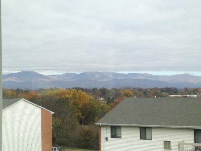 View from Kitchen Window - 745 South St