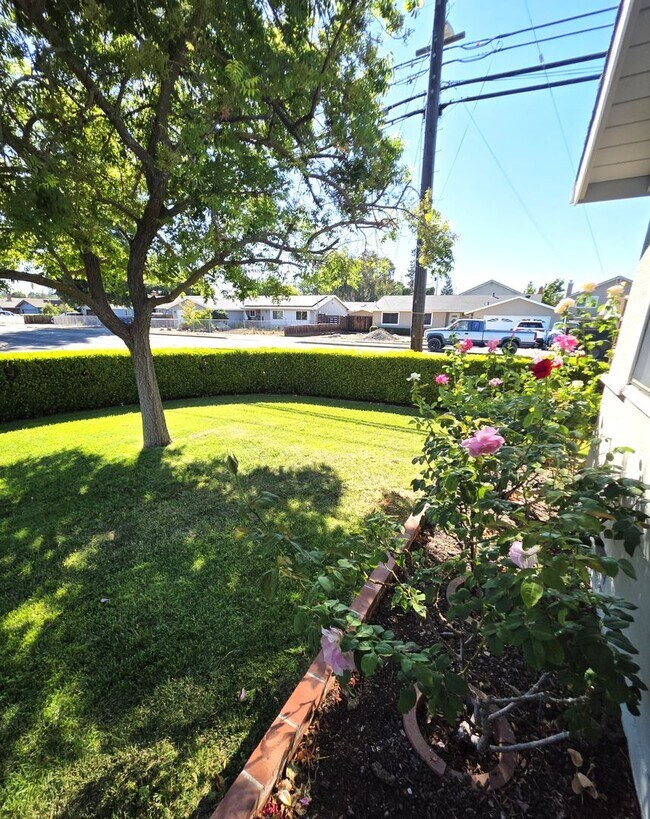 Foto del edificio - Delightful Single Story 2/2 with Expanded Bath and Beautiful Gardens