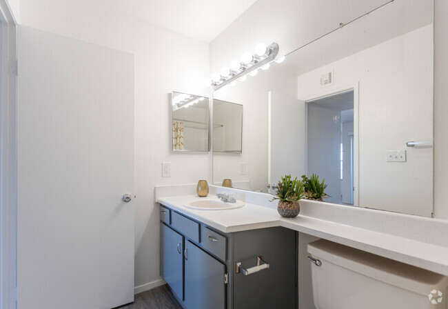 1BR 1BA - 720 SF - Palomar West