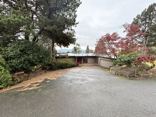 Building Photo - Great Hillsdale 4 bedroom Classic with Ama...