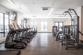 Located at 695 Merrick Ave in Westbury, NY, this modern fitness center offers a spacious, well-appointed environment designed to support a full range of workout routines. The facility is spread across a single floor and is divided into distinct zones that cater to various fitness disciplines.

The main gym floor features an impressive selection of True-brand equipment, including rows of treadmills, elliptical machines, and cable/strength machines, all arranged to allow comfortable circulation throughout the space. Large wall-mounted flat-screen televisions are positioned throughout the cardio area, providing entertainment during workouts. The flooring transitions between polished stone-look tile and wood-look surfaces, lending a refined, contemporary aesthetic.

A dedicated free weights and functional training area is outfitted with rowing machines, cable systems, dumbbell racks, and open floor space for dynamic exercises. Full-length mirrors are strategically placed across multiple walls, enhancing the sense of space and aiding in form correction.

A separate studio room offers light wood flooring, oversized framed mirrors, and expansive windows overlooking the surrounding courtyard, making it well-suited for yoga, stretching, or group fitness classes. Recessed and linear LED lighting throughout ensures bright, even illumination across all areas. The clean white walls and modern design create a bright, motivating atmosphere throughout the entire facility.