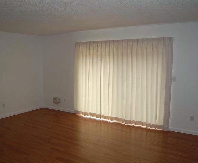 Interior Photo - College Apartments