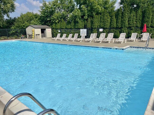 Pool - Mayfair Apartment Homes