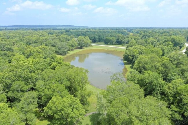 Building Photo - 283 Wood Fern Dr