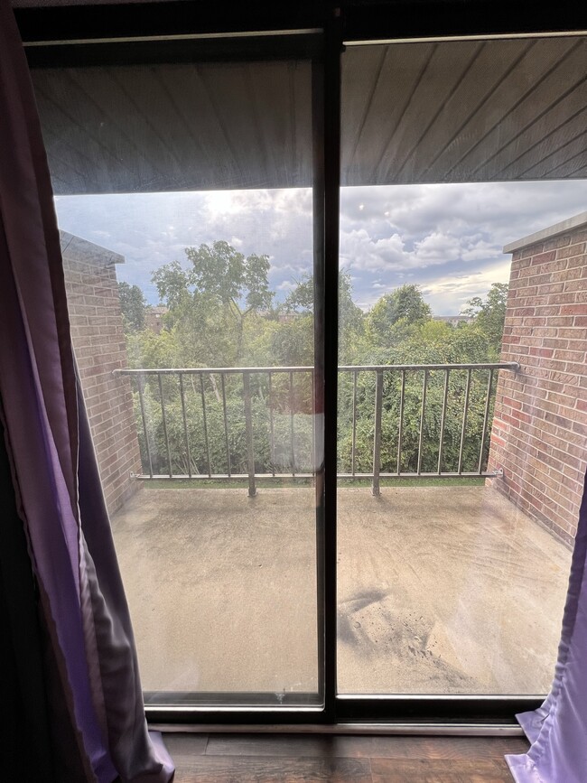 Balcony - 5425 Bluesky Dr