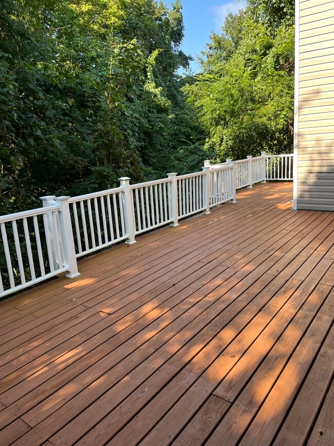 Deck - 1381 Randall St