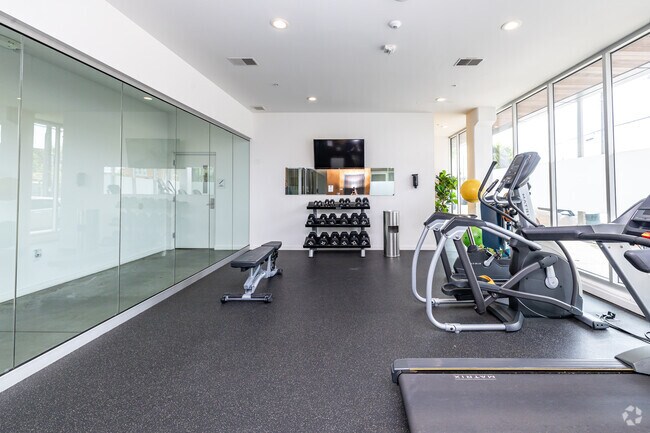 Gimnasio - The Quin
