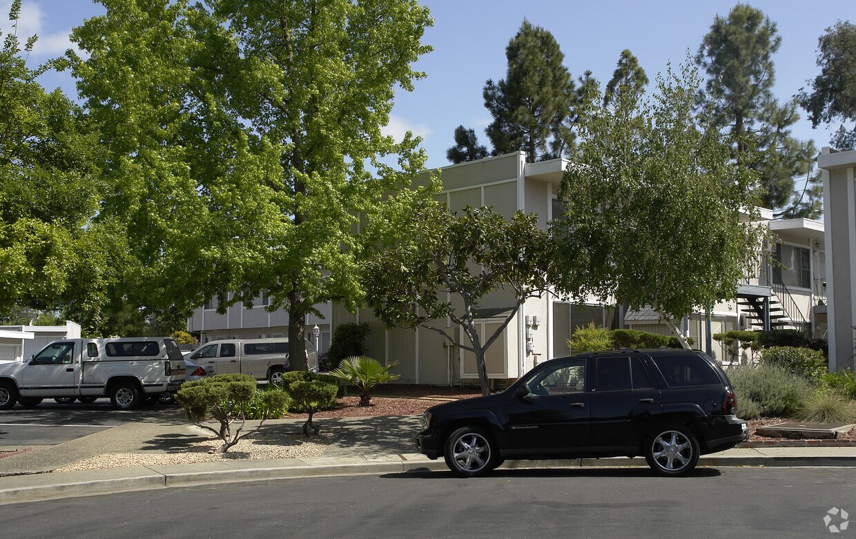 Briars y Belvedere Apartaments - Briars and Belvedere Apartments