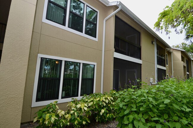 Foto del edificio - One bedroom one bathroom condo in Palmer Ranch