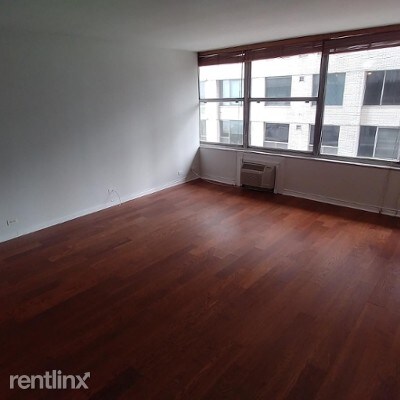 Building Photo - 1000 N Lake Shore Dr