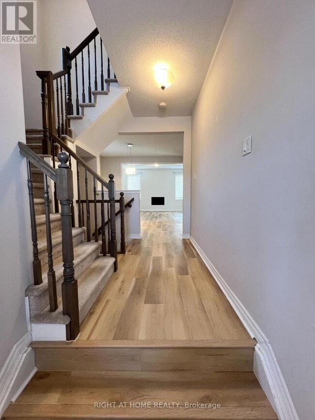 Building Photo - 529 Honeylocust Ave