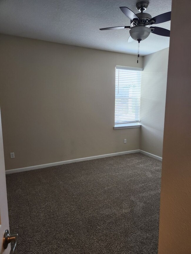 Interior Photo - Cathedral Park