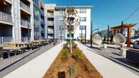 Located at 2200 Silver Crescent Dr in Charlotte, NC, this outdoor amenity courtyard is nestled within a contemporary multi-story residential community featuring a striking blue and white exterior facade. The space is defined by a central landscaped walkway with fresh mulched planting beds, young trees, and low-growing shrubs that create a structured, park-like corridor through the heart of the courtyard. Overhead string lights are strung between poles, adding ambiance and extending the usability of the space into the evening hours. Seating throughout the courtyard is thoughtfully varied, including rustic wooden picnic tables and benches ideal for communal gatherings, as well as plush navy-blue outdoor sofas that create a more relaxed lounge setting. A standout feature is the woven rattan hanging egg chair, which adds a playful and stylish focal point to the space. Decorative ceramic garden stools complement the furnishings, reinforcing the curated aesthetic. The surrounding building facades feature private balconies that overlook the courtyard, creating a sense of community and connection. Adjacent surface parking provides convenient access, while the well-maintained landscaping along the borders softens the transition between parking and social areas. The overall atmosphere is welcoming, modern, and designed to encourage outdoor social interaction.