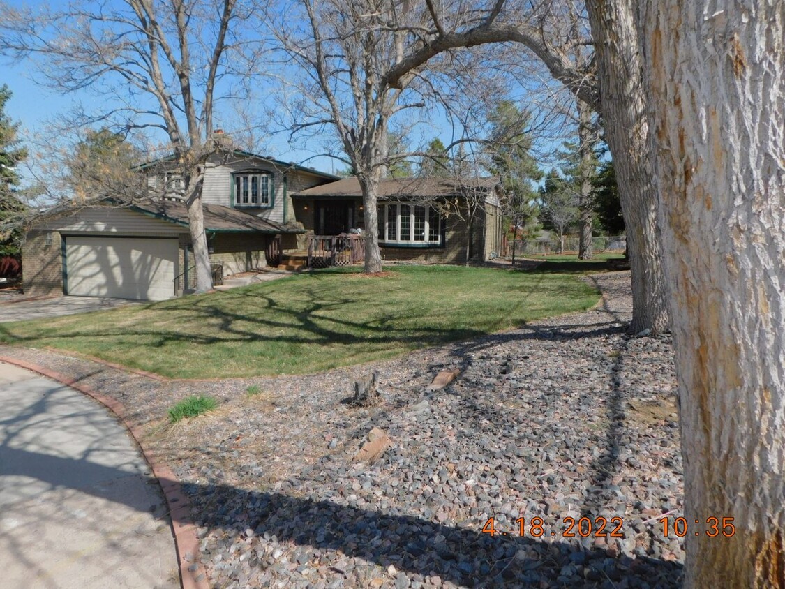 Primary Photo - Beautiful house in Centennial!