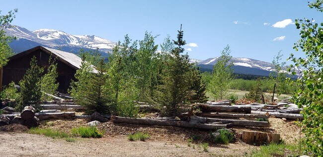Building Photo - Must see! 5.6 Acres with unique touches th...