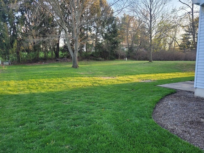 Backyard - 890 Postiy St NW