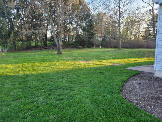 Patio trasero - 890 Postiy St NW