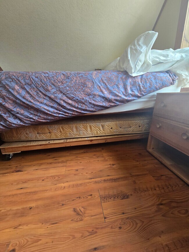 Foto del edificio - 33577 Bowersox Pl