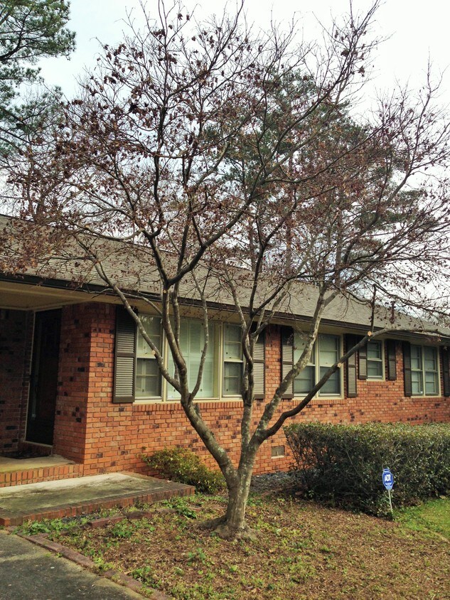 Primary Photo - 4591 Shamrock Pl SE
