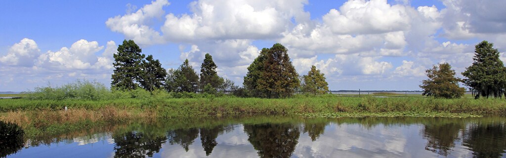 Kissimmee