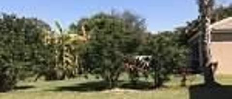 Foto del edificio - 11170 Lakeland Cir