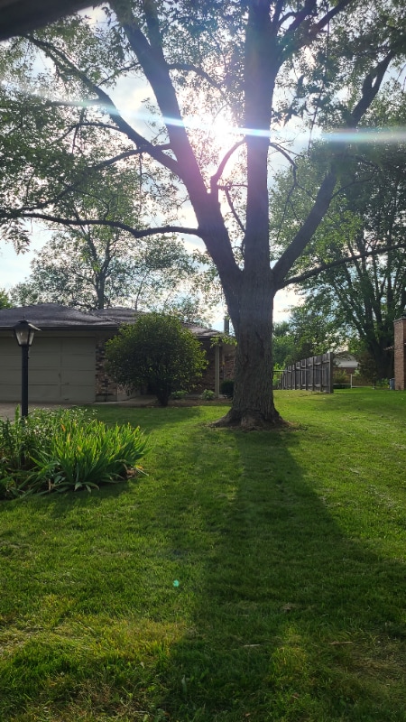 Building Photo - 8763 Meadowcreek Dr