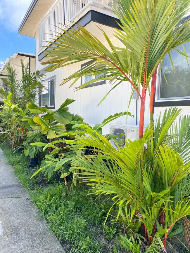 Foto del edificio - 135 Mokumanu Dr