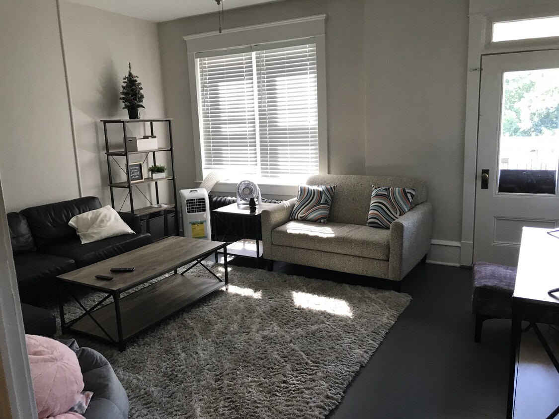 Furnished student apartment - 167 W River St Apt 3