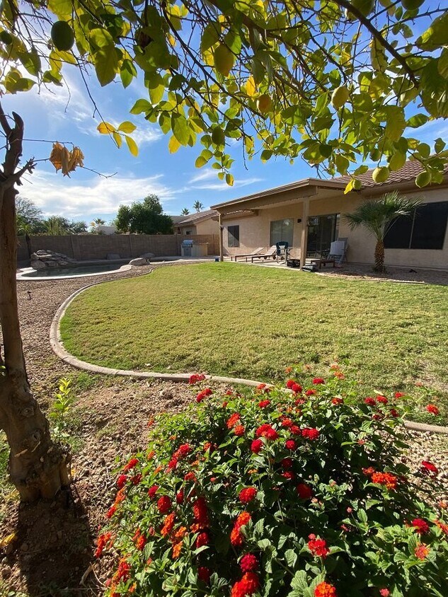 Building Photo - 3BDRM 2BA Residential home with pool for r...