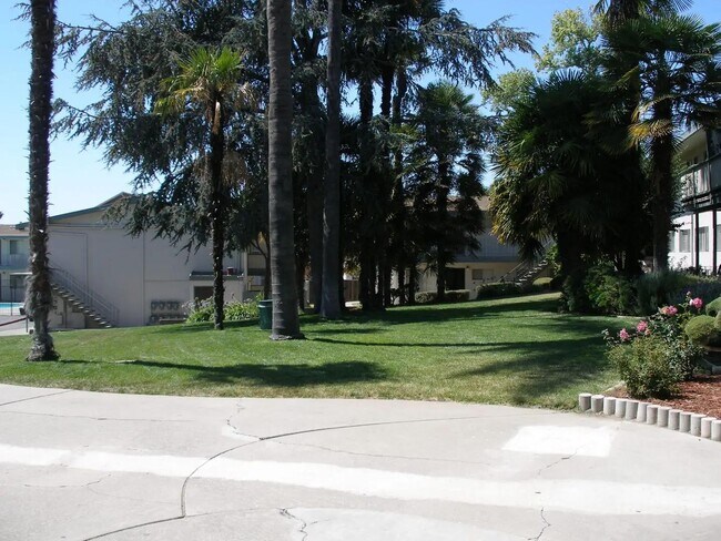 Foto del edificio - Fairmount Palms