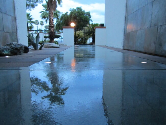 Building Photo - 859 W Palma de Coco