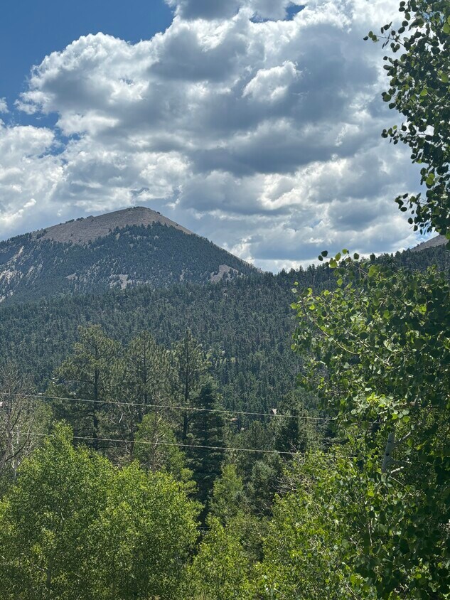 Foto principal - 255 Black Bear Rd