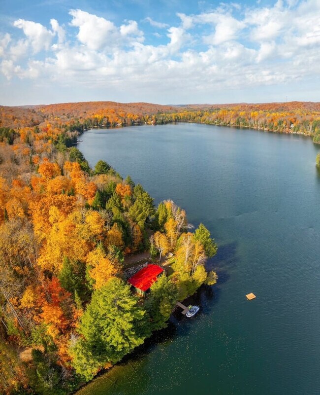 Photo du bâtiment - 49 B Silver Birch Ln