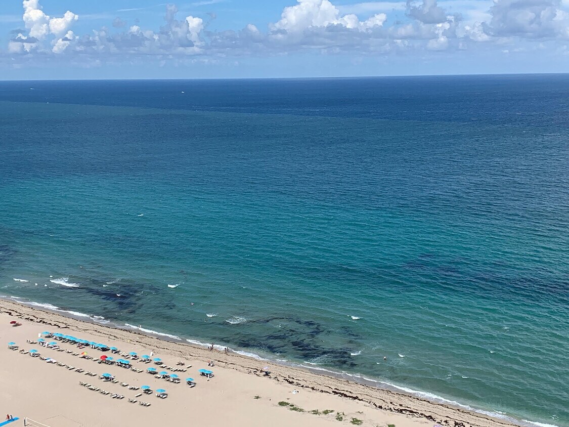 Foto principal - 3000 N Ocean Dr