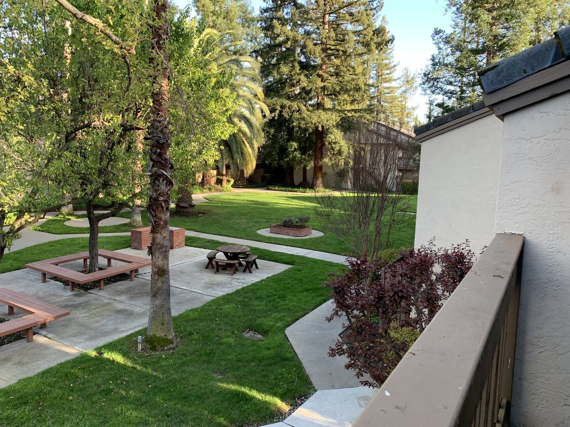 2738 Oak Rd, Walnut Creek, CA 94597 Condo for Rent in Walnut Creek