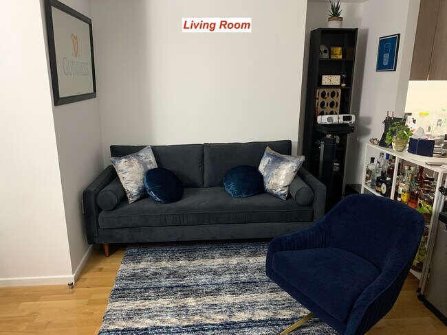 Living Room - 497 St Marks Ave